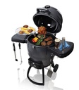 Barbecue au charbon de bois Broil King KEG 5000 (gris argent)