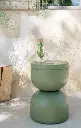 piapolo.cactus.webp