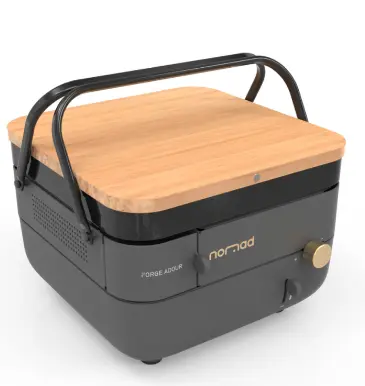 Capture d’écran 2025-02-27 174913.webp