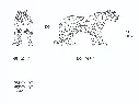 44230.webp
