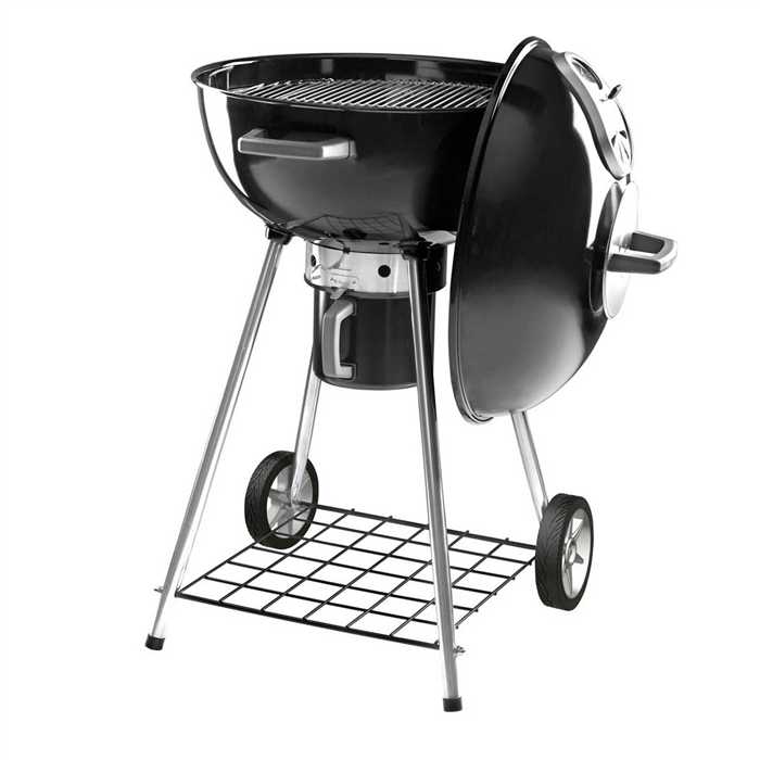 Barbecue charbon de bois NAPOLEON + grille en fonte