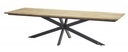 Table de jardin Minerva 280 cm – table extérieure haut de gamme aluminium Belgique de 4 seasons outdoor