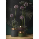 Vases Mona - assortiment de 3 - Vert bleu rouge