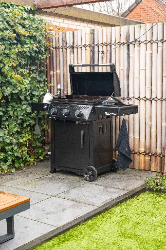 [NAPO-F24DFTPK] Plancha NAPOLEON Freestyle - F24DFTPK