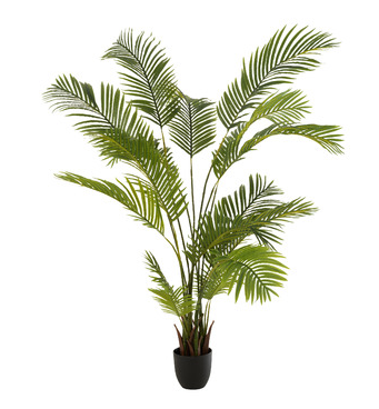 [J-LINE 12532 Chrysalidocarpus pot plastique] Plante décoration en plastique Chrysalidocarpus vert - J-LINE, fleur, plante, 12532
