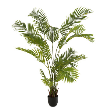 [J-LINE 12532 Chrysalidocarpus pot plastique] Plante décoration en plastique Chrysalidocarpus vert - J-LINE