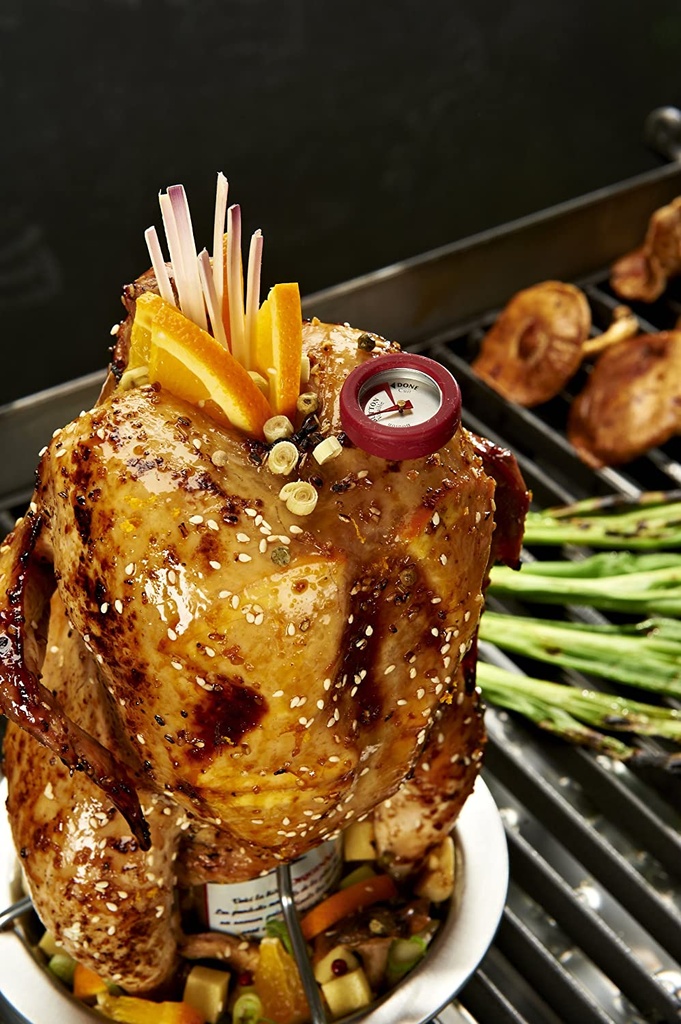 Support à Poulet BBQ Inox Broil King 69132 – Cuisson Verticale Parfaite & Thermomètre Intégré